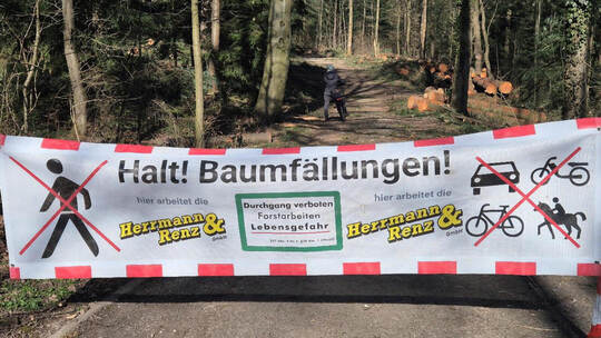 Fällmaßnahmen_Hanfackerweg