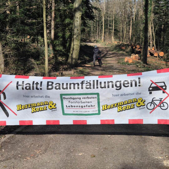 Fällmaßnahmen_Hanfackerweg
