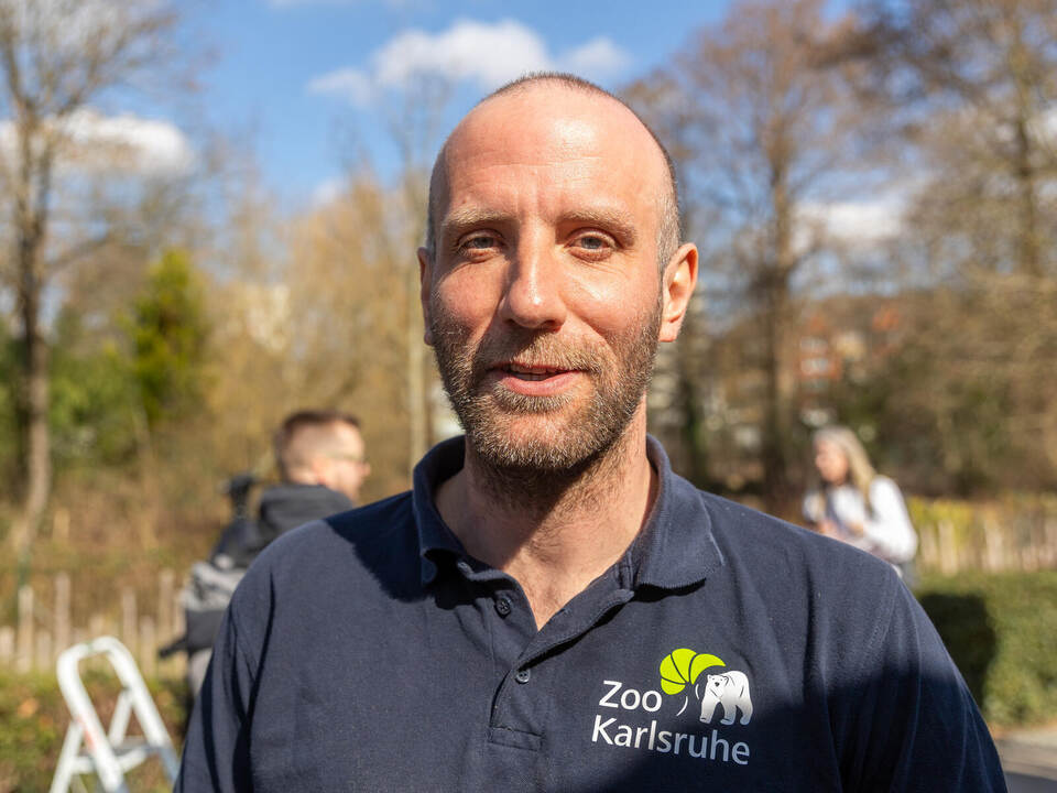 Tierpfleger Moritz Ehlers kennt sich bestens mit seinen Schützlingen aus. Eisbär Baby Mika Karlsruhe