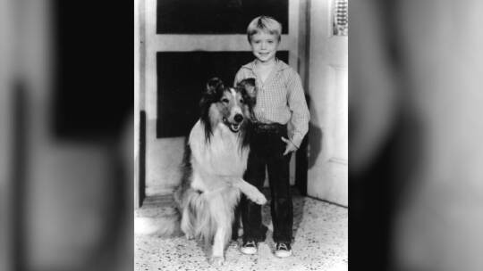 "Lassie"-Kinderstar Jon Provost wird 75