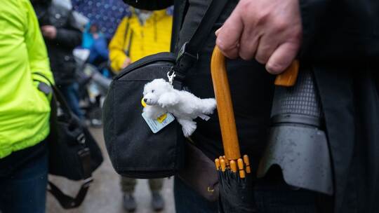 Publikum kann erstmals Eisbär-Jungtier sehen Publikum kann erstmals Eisbär-Jungtier sehen