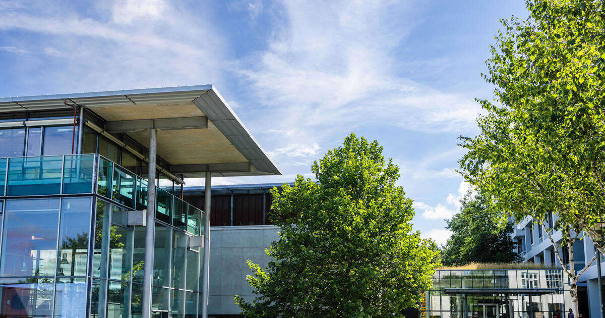 Was Ist Eine Hochschule In Deutschland www.pz-news.de