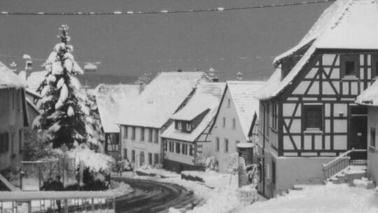 Am Tag danach: Ganz in Weiß präsentierte sich auch die Bergstraße in Nußbaum nach den ergiebigen Schneefällen am Abend des 19. M