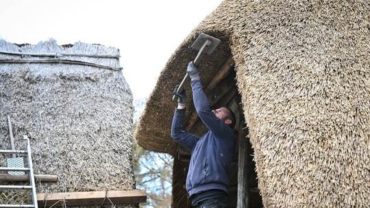 Reet-Dächer im Pfahlbaumuseum erneuern Reet-Dächer im Pfahlbaumuseum erneuern