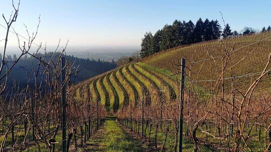 Wetter in Baden-Württemberg