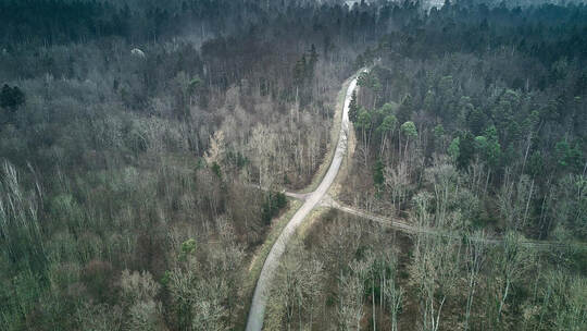 Das Gelände des Staatswaldes links und rechts der Kreisstraße K4500 bei Niefern-Öschelbronn (im Hintergrund) soll für Windenergi