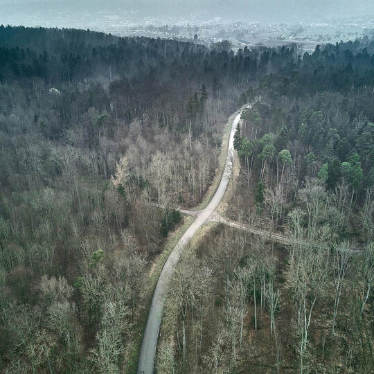 Das Gelände des Staatswaldes links und rechts der Kreisstraße K4500 bei Niefern-Öschelbronn (im Hintergrund) soll für Windenergi