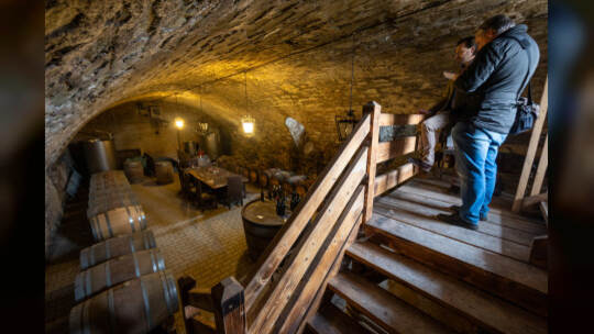 Einblick Schloss Mühlhausen Rauschmayer