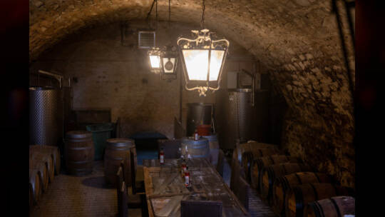 Einblick Schloss Mühlhausen Rauschmayer