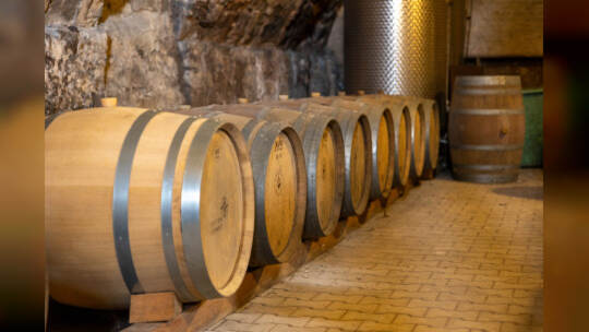 Einblick Schloss Mühlhausen Rauschmayer