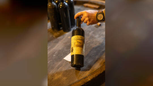 Einblick Schloss Mühlhausen Rauschmayer