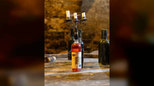 Einblick Schloss Mühlhausen Rauschmayer