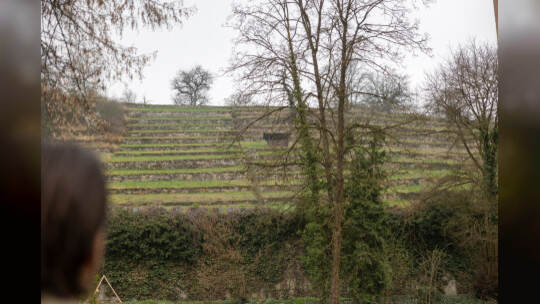 Einblick Schloss Mühlhausen Rauschmayer