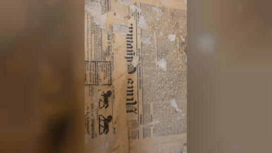 Einblick Schloss Mühlhausen Rauschmayer