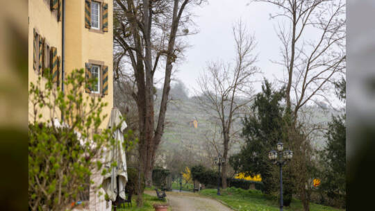 Einblick Schloss Mühlhausen Rauschmayer