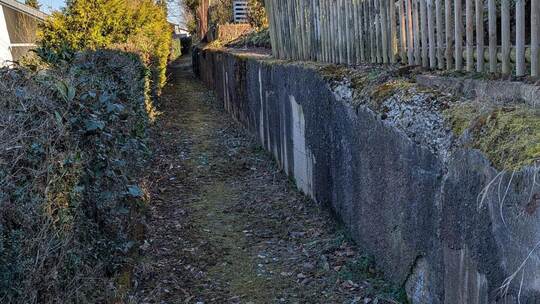 Vom ehemals asphaltierten Fußweg ist durch das Moos nicht viel zu erkennen.