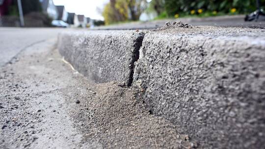 Ameisenplage in Schutterwald