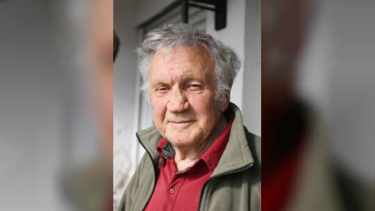 Ameisenplage in Schutterwald