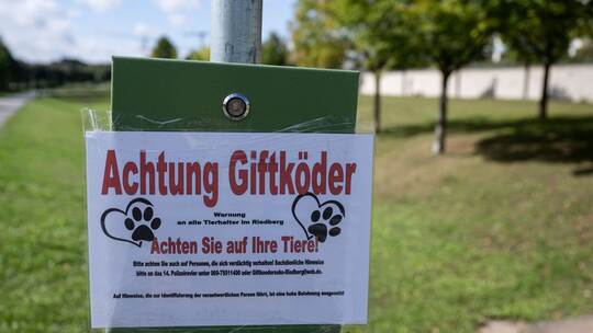 Hunde mit Giftköder getötet