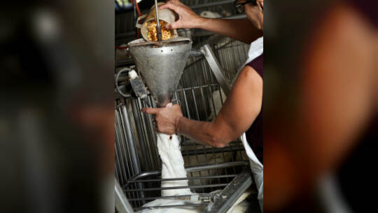 Foie Gras Produktion in Belgien