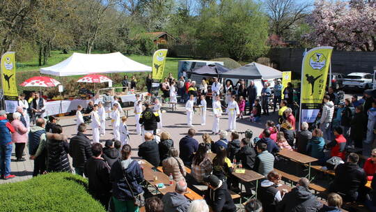 Für Hingucker sorgen beim verkaufsoffenen Sonntag in Remchingen die Auftritte des Taekwondo-Zentrums im Sparkasseninnenhof.