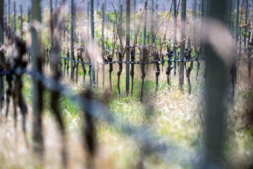 Trockenheit in der Landwirtschaft