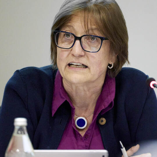 Bürgermeisterstellvertreterin Margit Stähle (FWG) leitet die Mönsheimer Gemeinderatssitzung.