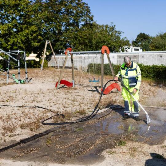 Kampf gegen die Ameisenplage