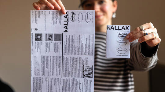 Faltaktion kALLAX