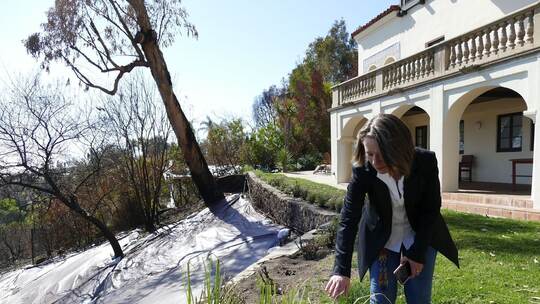 Nach den Feuern in Los Angeles: Pacific Palisades Nach den Feuern in Los Angeles: Pacific Palisades