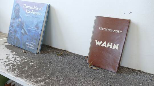 Nach den Feuern in Los Angeles: Pacific Palisades Nach den Feuern in Los Angeles: Pacific Palisades