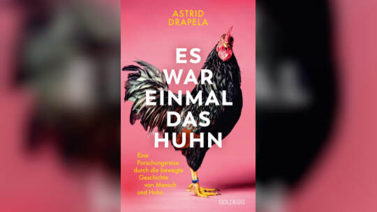 Buch - Es war einmal das Huhn