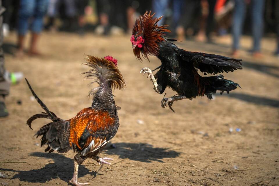 Jonbeel-Festival in Indien