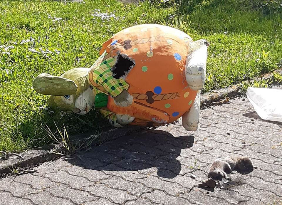 Waschbären-Nachwuchs im Osterhasen