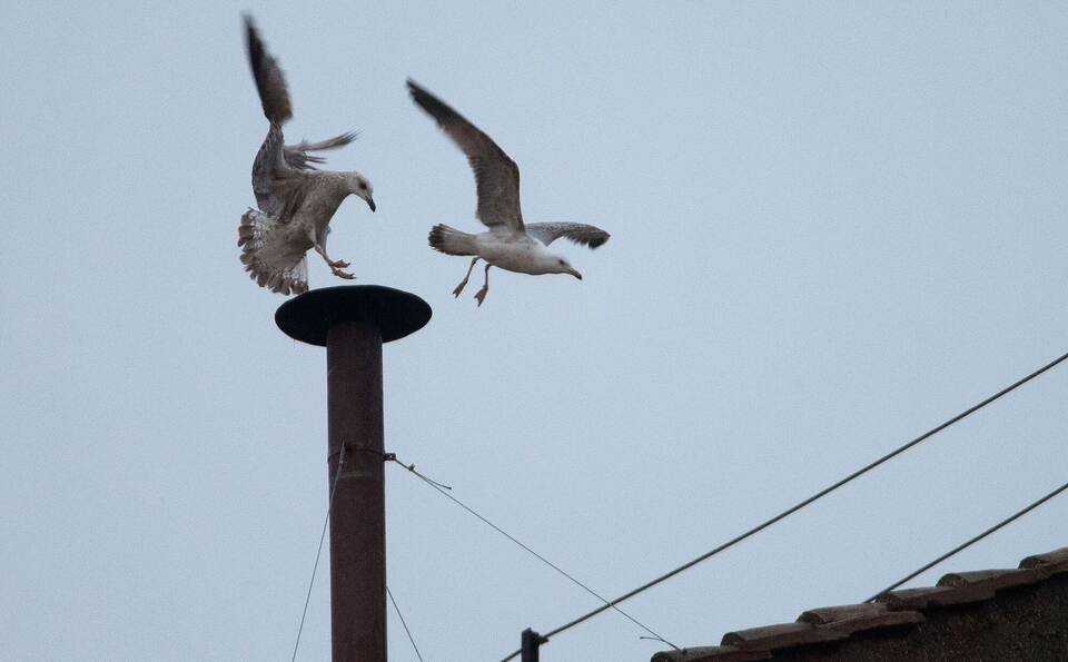 Was passiert nach dem Tod des Papstes?