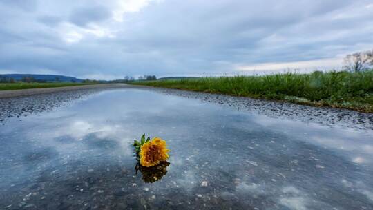 Wetter in Baden-Württemberg Wetter in Baden-Württemberg