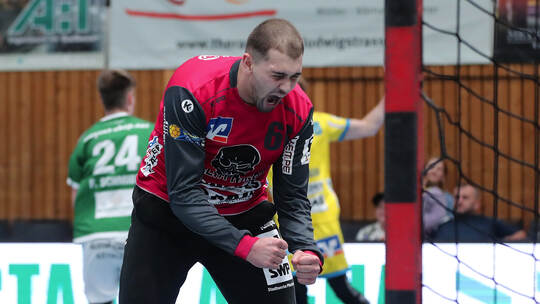 Handball, 3. Liga, Wölfe Würzburg - SG Pforzheim-Eutingen