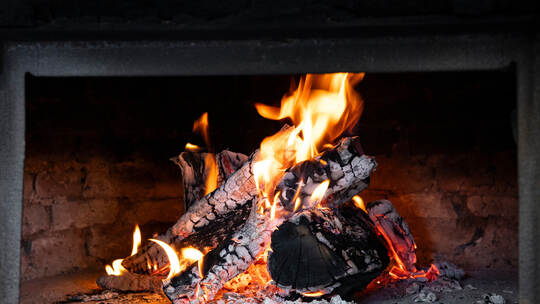 Clay oven with wood burning inside