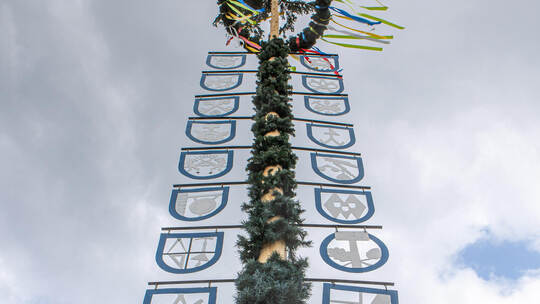 Maibaum Würm