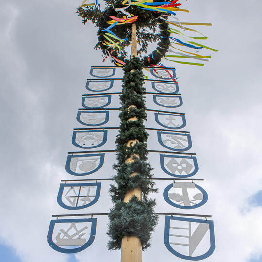 Maibaum Würm