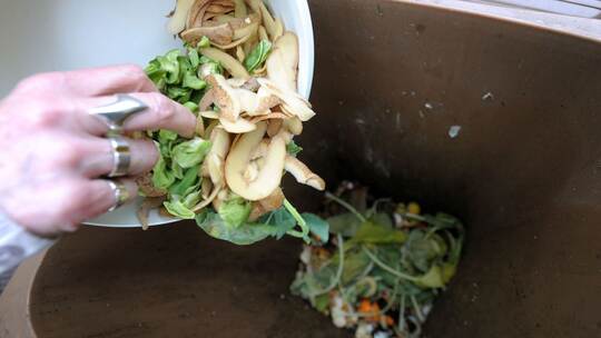 Nachname, Biomüll, Passbild – das ändert sich im Mai