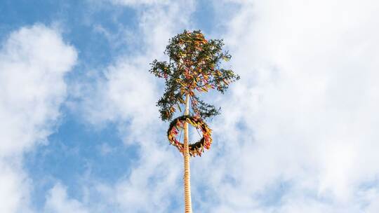 Maibaum