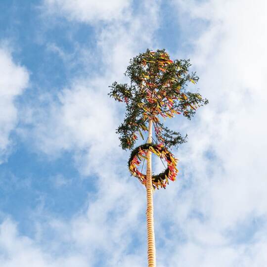 Maibaum
