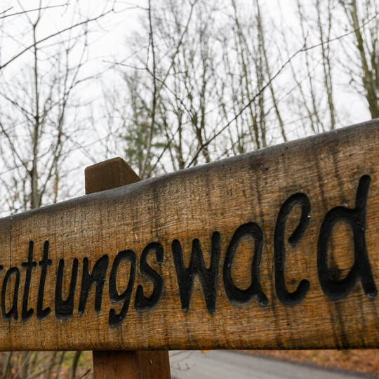 Sachsen will Bestattungsgesetz ändern