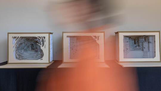 Ausstellung Im Wald Verlieren
