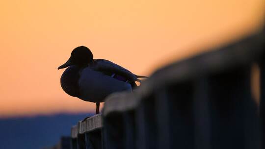 Wetter in Baden-Württemberg
