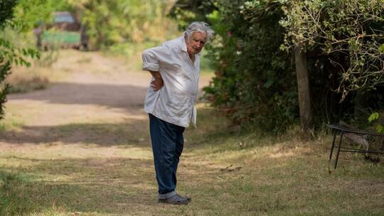 José Mujica José Mujica