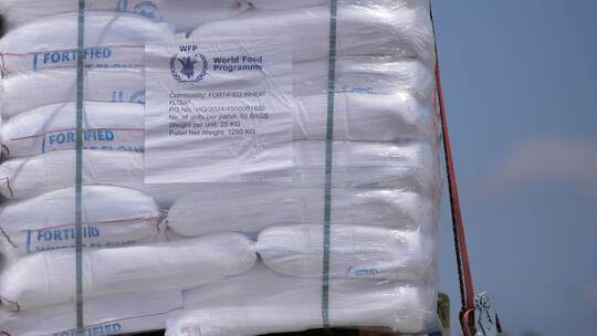 Nahostkonflikt - Hilfsgüter für Gaza