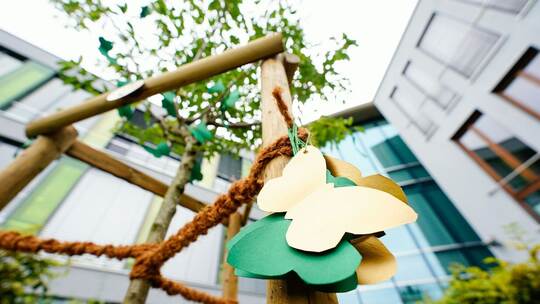Gedenkbäumchen am Löwenrot-Gymnasium Gedenkbäumchen am Löwenrot-Gymnasium