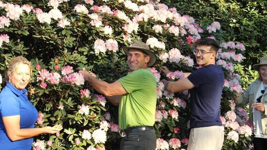 Der Rhododendronpark ist vor allem im Frühling ein Besuchermagnet. Das erfreut die Familie Jansen in drei Generationen mit Helen